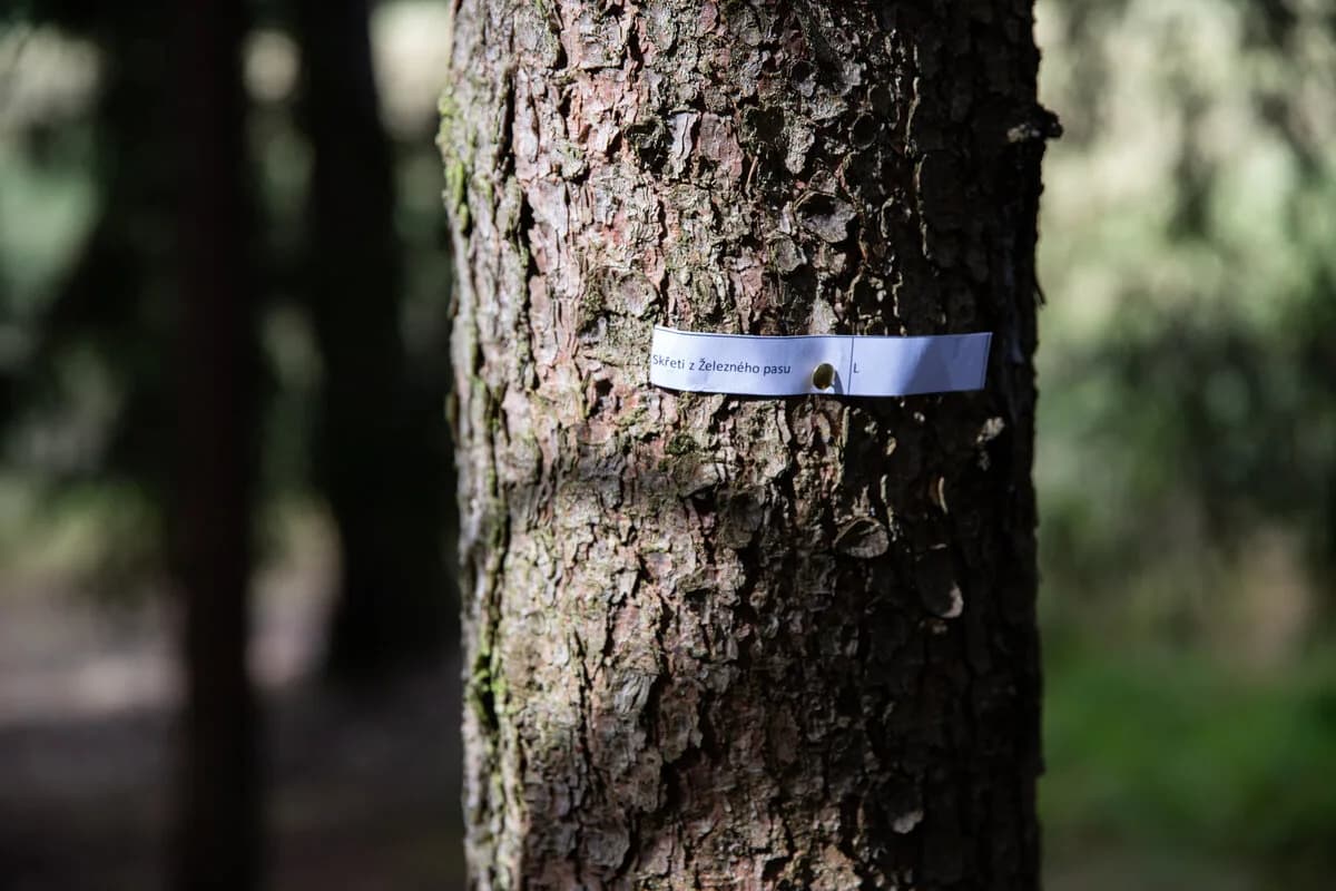 Tábor Bílá skála – fotka 4